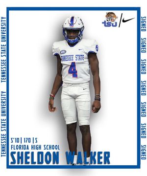 Image post by @tsutigers on Instagram