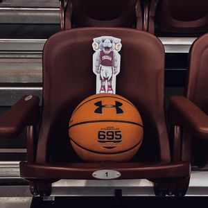 Image post by @fordhamwbb on Instagram