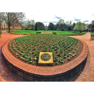 Image post by @elonuniversity on Instagram