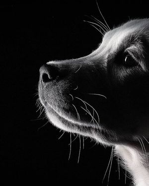 Image post by @fubiz on Instagram