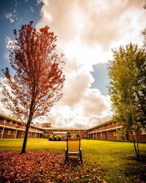 Image post by @nauflagstaff on Instagram