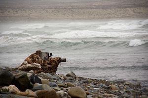 Image post by @reddigitalcinema on Instagram