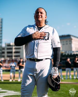 Image post by @tigers on Instagram