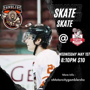 Image post by @usphlhockey on Instagram