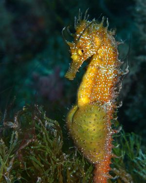 Image post by @discovery on Instagram