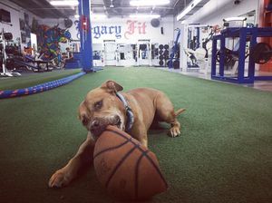 Image post by @manningsumner on Instagram