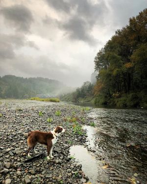 Image post by @chrislholder on Instagram