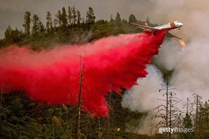 Image post by @gettyimages on Instagram
