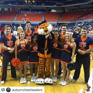 Image post by @auburntigers on Instagram