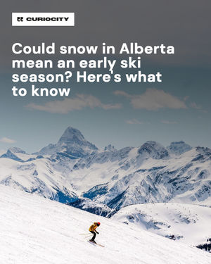 Image post by @curiocitycalgary on Instagram