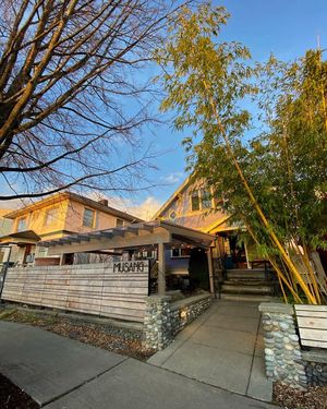 Image post by @musangseattle on Instagram