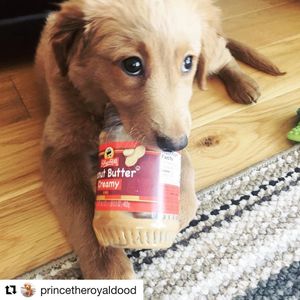 Image post by @shopritestores on Instagram