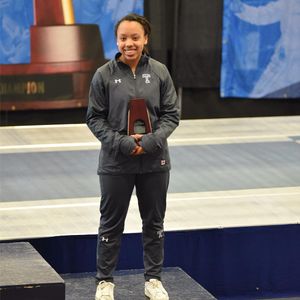 Image post by @templefencing on Instagram