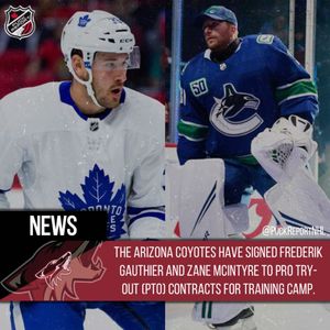 Image post by @puckreportnhl on Instagram