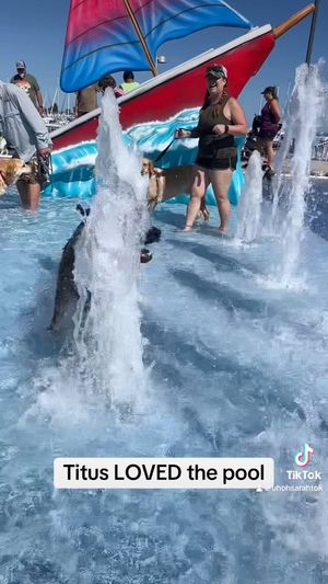 Video post by @LiveLikeRoo on Facebook