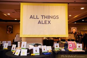 Image post by @alexslemonade on Instagram