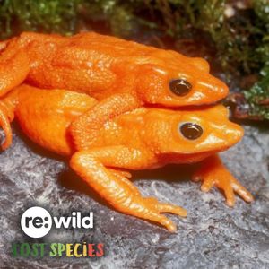 Image post by @rewild on Instagram