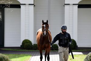 Image post by @spendthriftfarm on Instagram