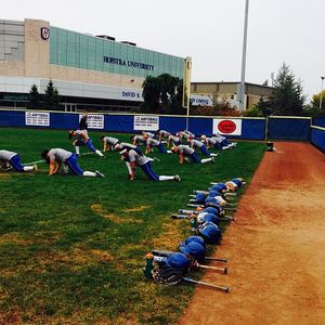 Image post by @hofstrasoftball on Instagram