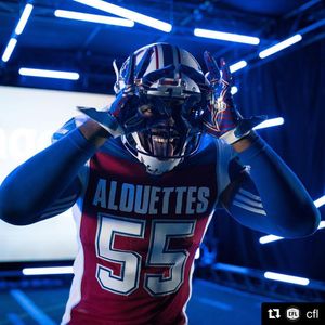 Image post by @mtlalouettes on Instagram