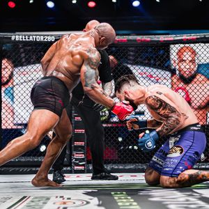 Image post by @bellatormma on Instagram