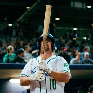 Image post by @hartfordyardgoats on Instagram