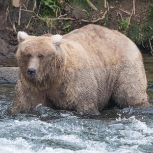 Image post by @nationalparkservice on Instagram