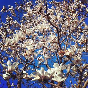 Image post by @emmalovewell on Instagram