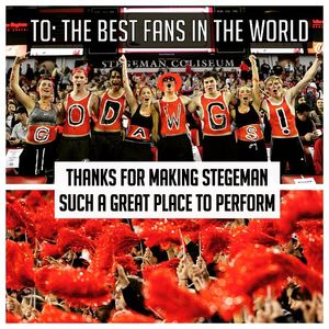 Image post by @ugagymnastics on Instagram