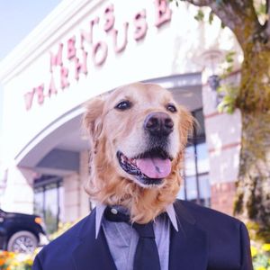 Image post by @menswearhouse on Instagram