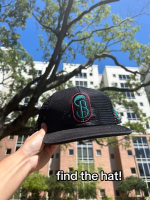 Image post by @srqparadise on TikTok