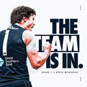 Image post by @carlton_fc on Instagram