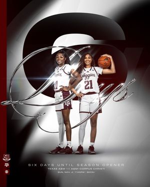 Image post by @aggiewbb on Instagram
