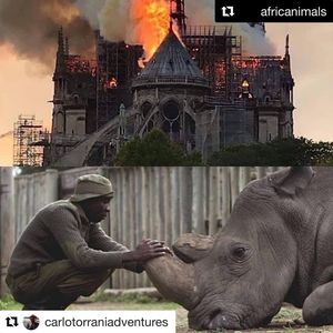 Image post by @maxpapis on Instagram
