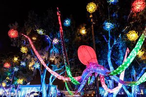 Image post by @beyondwland on Instagram