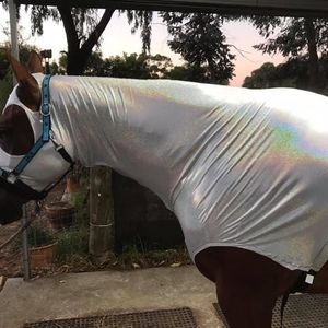 Image post by @flynhighhorsewear on Instagram