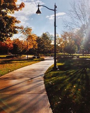 Image post by @olivetnazarene on Instagram