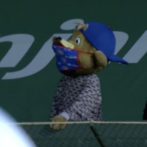 Image post by @chicagocubsnation on Instagram