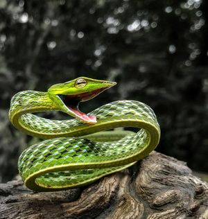 Image post by @discovery on Instagram