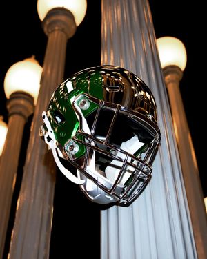 Image post by @goducks on Instagram