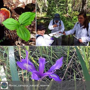 Image post by @ucsc on Instagram