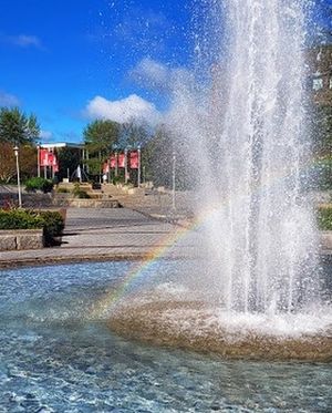 Image post by @stonybrooku on Instagram