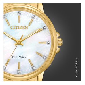 Image post by @citizenwatchus on Instagram