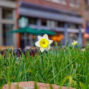 Image post by @playboulder on Instagram