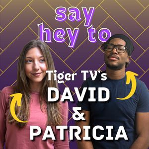 Image post by @lsutigertv on Instagram