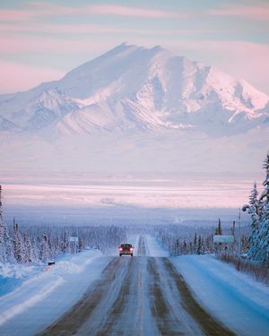 Image post by @discovery on Instagram