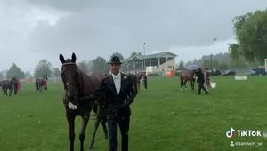 Image post by @NZHorseAmbulanceTrust on Facebook