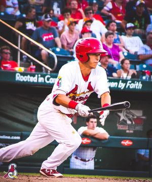 Image post by @springfield_cardinals on Instagram