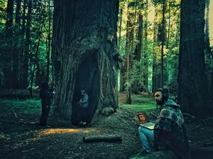 Image post by @magicgiant on Instagram