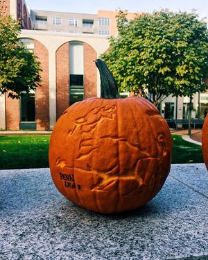 Image post by @penncareylaw on Instagram